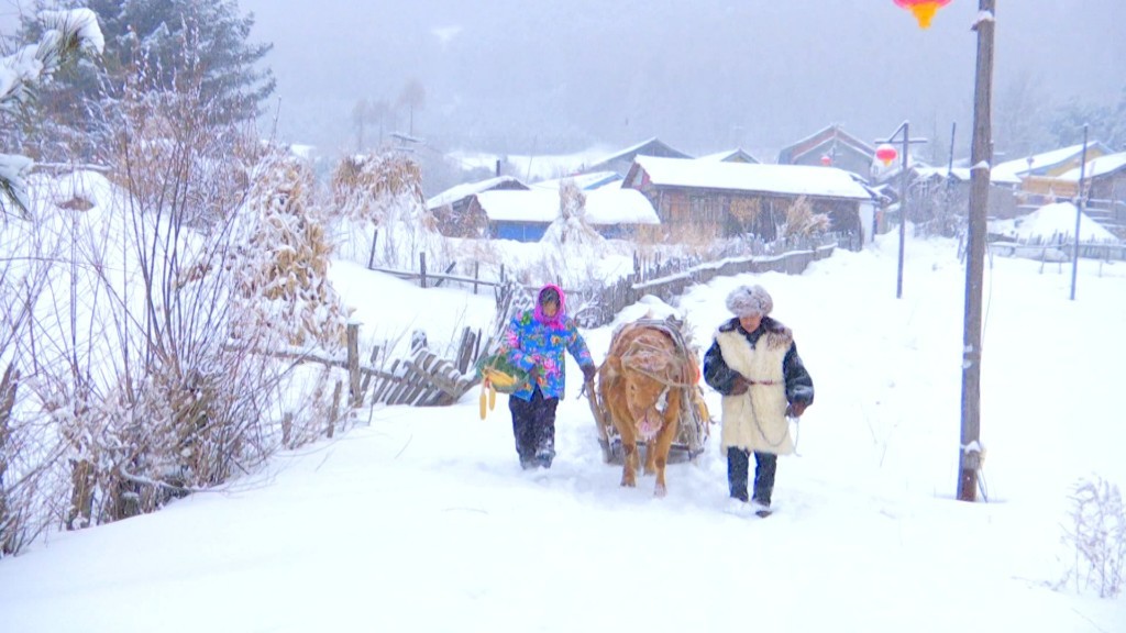 吉林临江：雪中松岭美如仙境