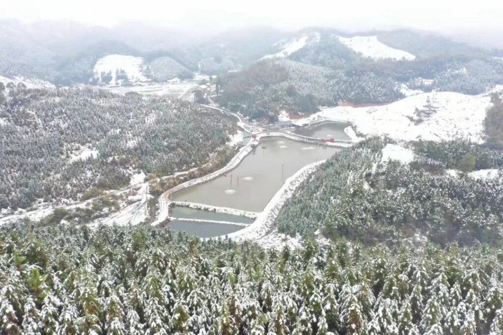 雪花来报道！这个乡镇的雪景很动人