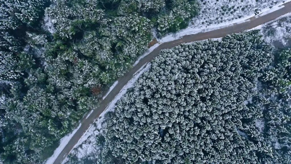 雪花来报道！这个乡镇的雪景很动人