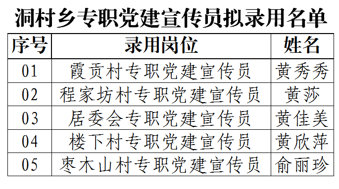 洞村乡公开招聘专职党建宣传员拟录用名单公示