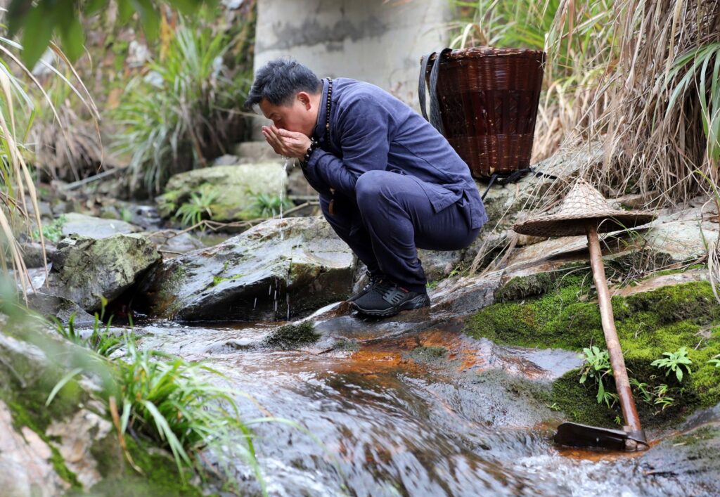 陈文辉：从民间采草药郎中到中医药非遗传承人