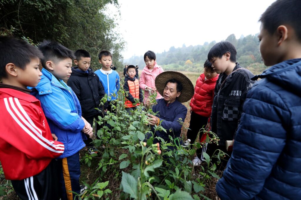 陈文辉：从民间采草药郎中到中医药非遗传承人