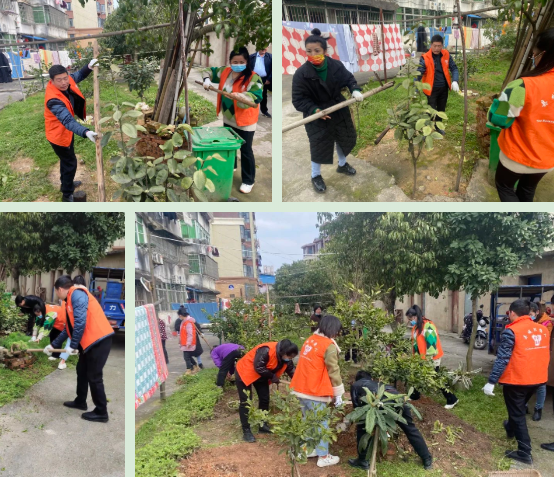 钤东街道：周五“清洁日”，环境整治四面“开花”