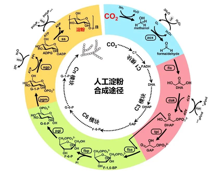 2021年度中国科学十大进展公布！