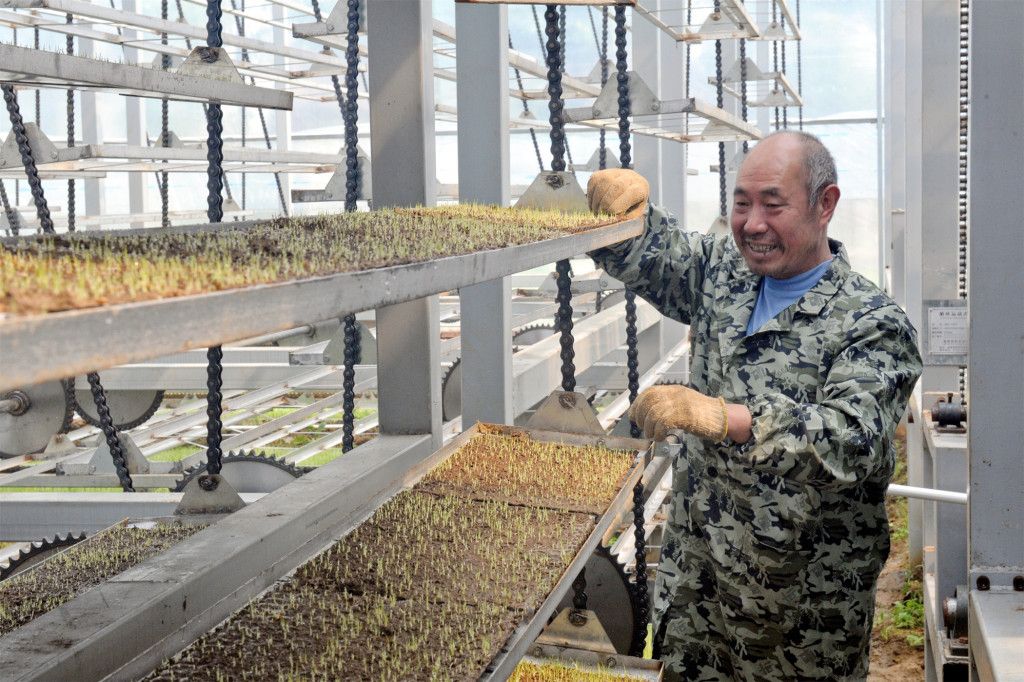 湖南华容：“湘北粮仓”粮食生产再探“新高”