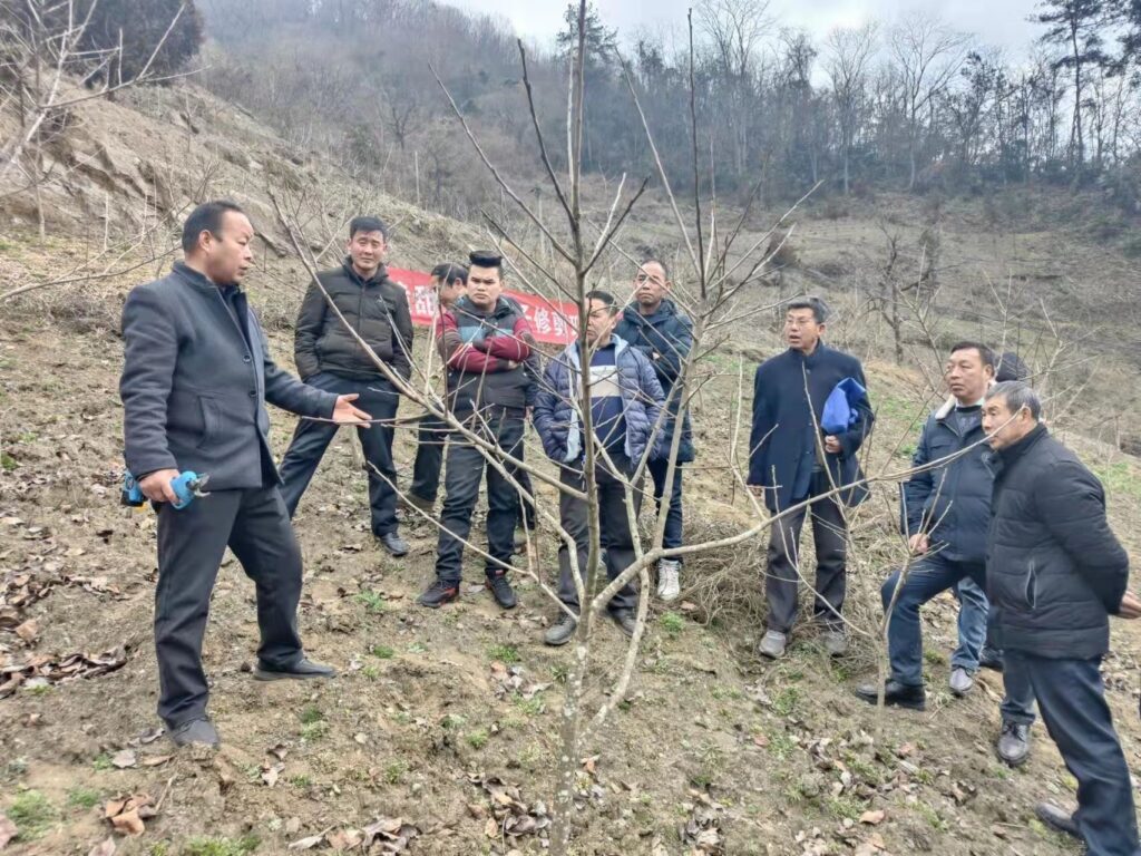 陕西石泉县：云雾山下春事忙