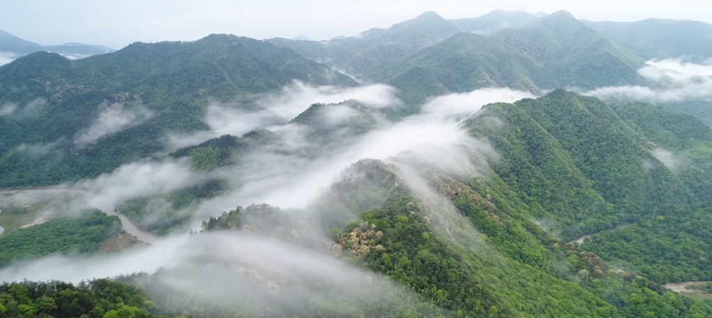 江西靖安：为全域旅游插上“数字翅膀”