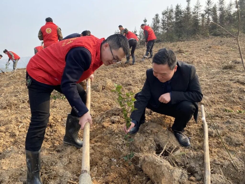 【文明有我 分宜更美】种树添绿，助推发展，这个植树活动不一样