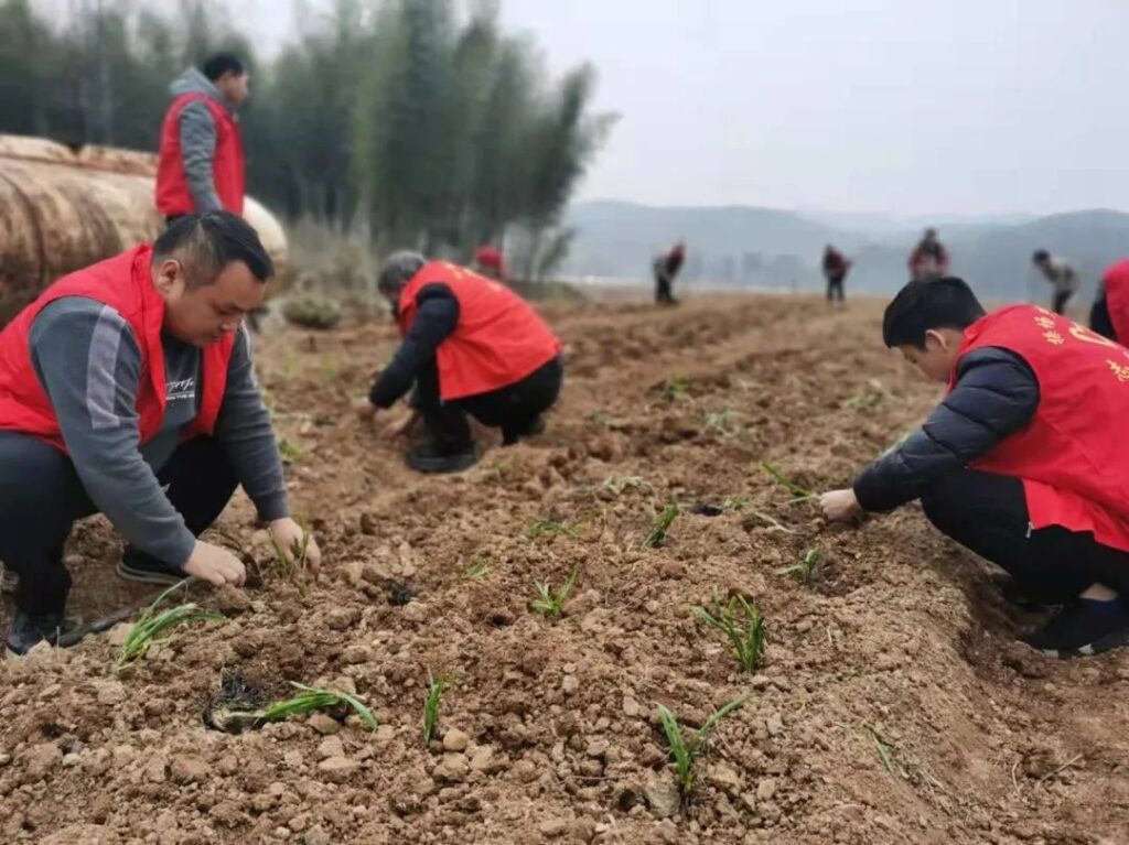 【文明有我 分宜更美】学雷锋树新风，操场乡在行动！