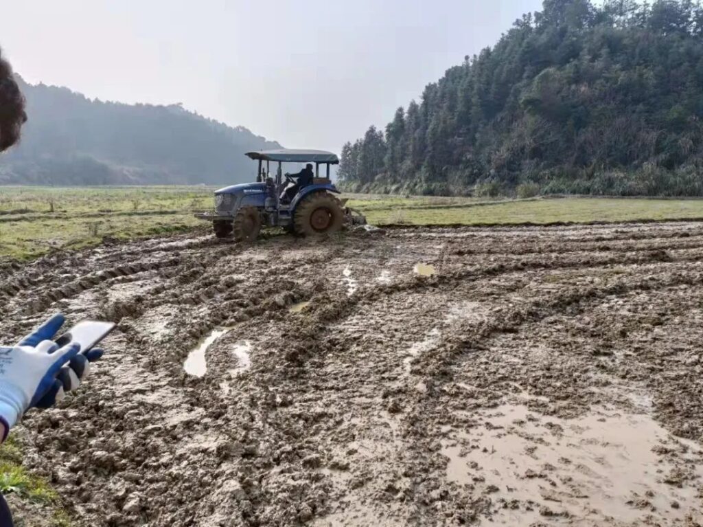 万象“耕”新 不负农时 ——洋江镇抓好春耕生产确保增产增收