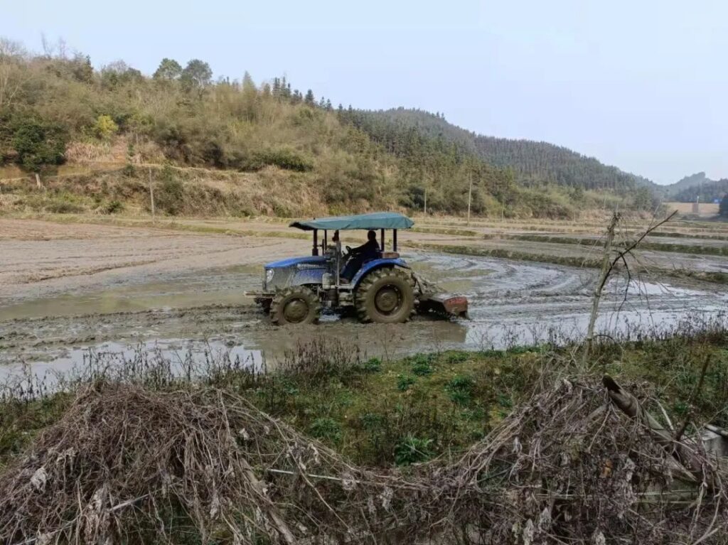 万象“耕”新 不负农时 ——洋江镇抓好春耕生产确保增产增收