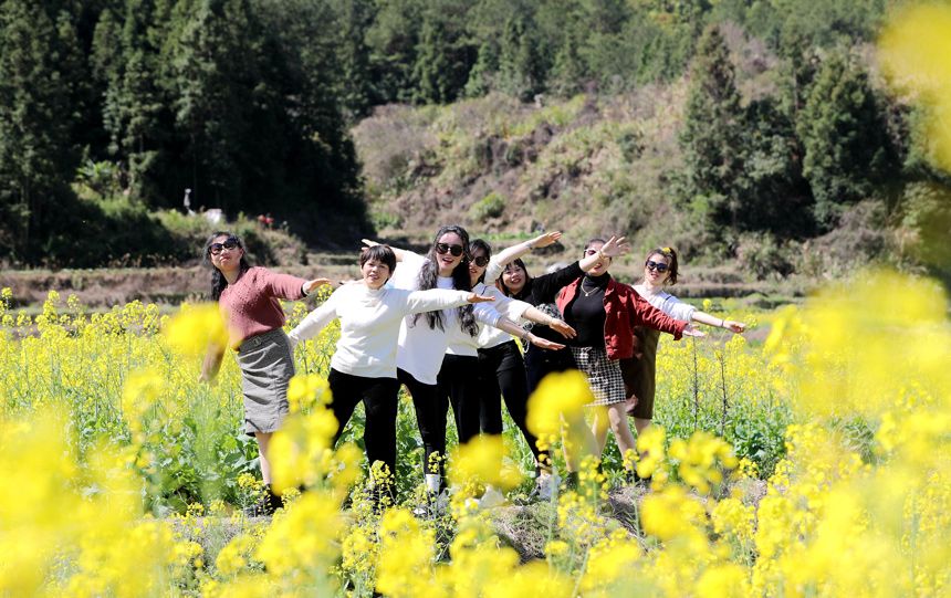 江西广昌：油菜花开引游客