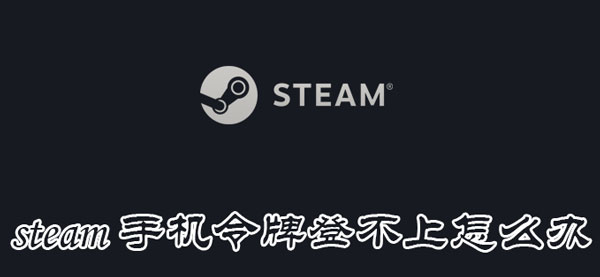 steam手机令牌登不上怎么办(steam手机令牌登不上显示登录次数太多)