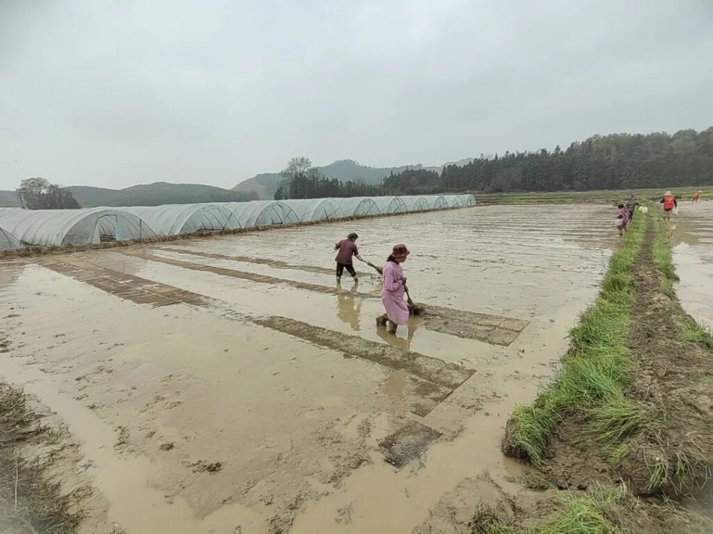 党建引领添动力，打好春耕第一仗