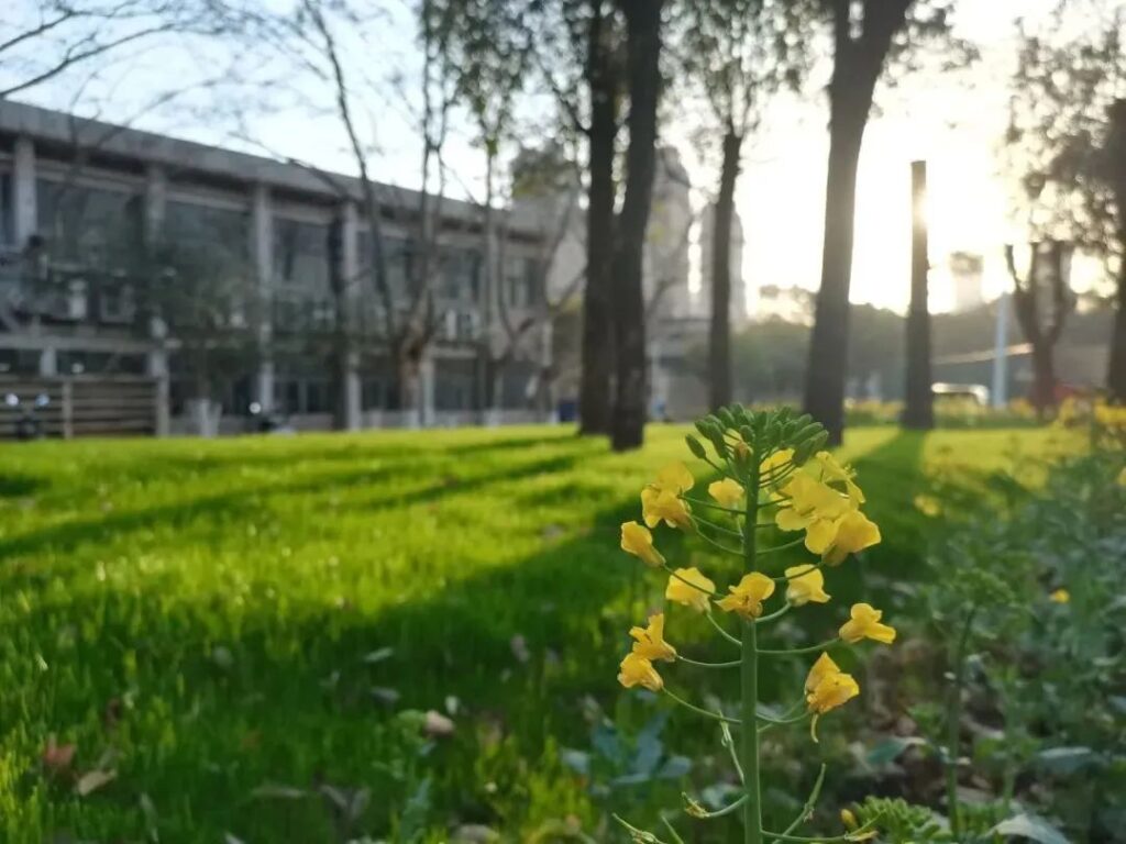 高能预警！是心动的感觉！