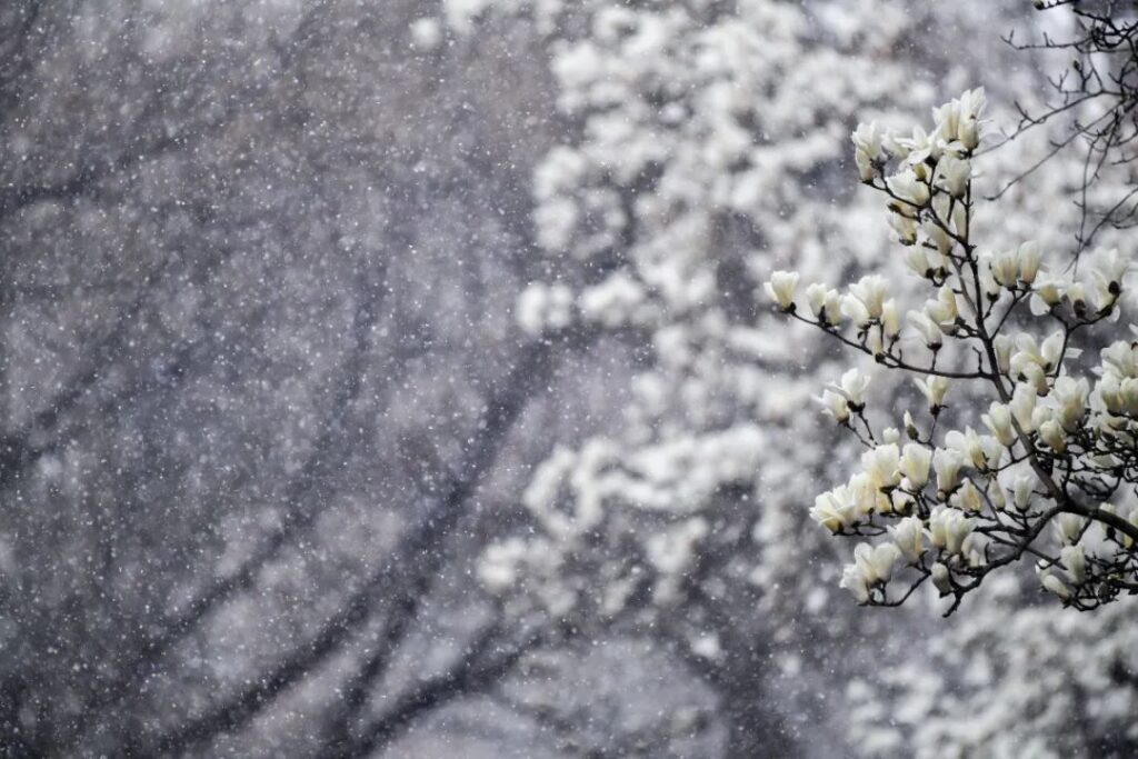 暴雪蓝色预警继续！涉及这些地方