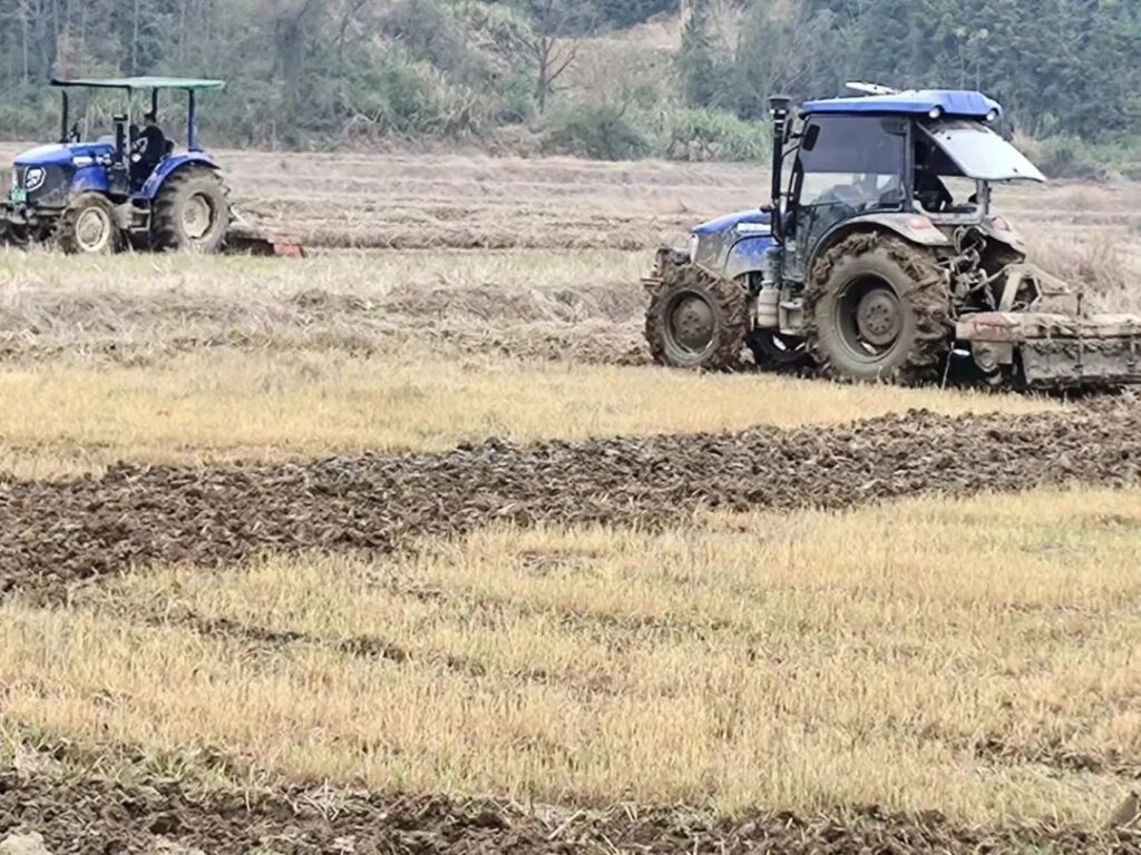 双林镇：翻耕育秧齐推进，早稻种植抢农时