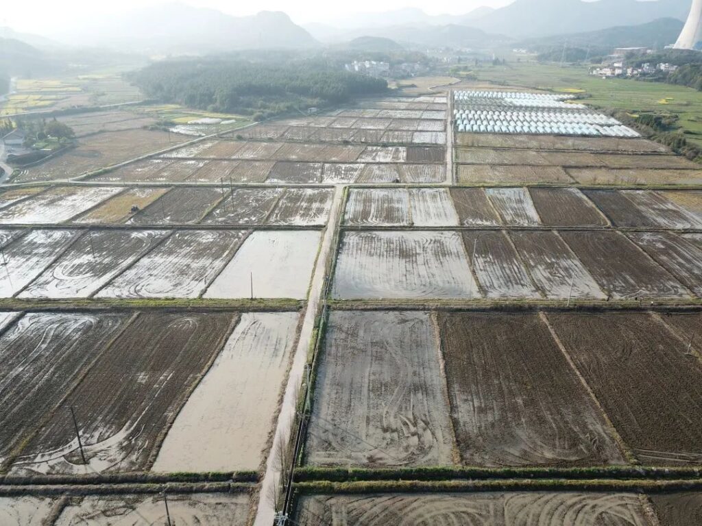 双林镇：翻耕育秧齐推进，早稻种植抢农时