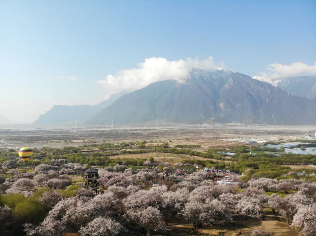 【二十四节气】春分