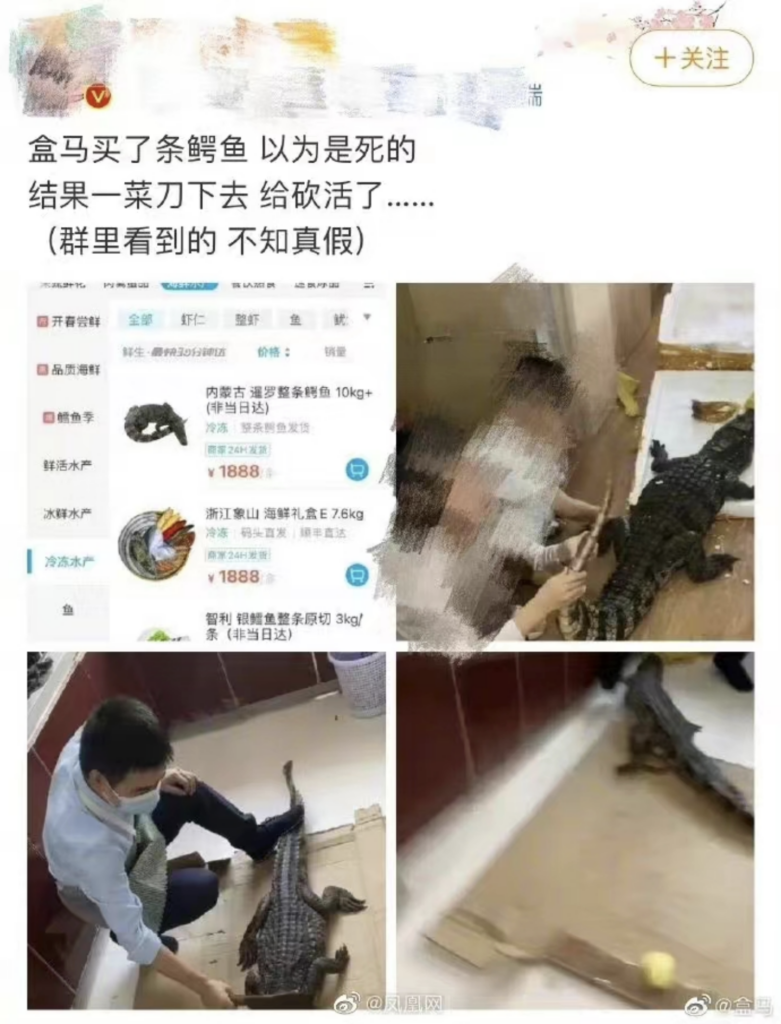 所售鳄鱼被砍后复活？盒马回应