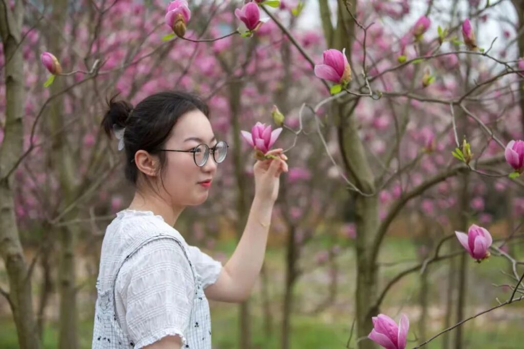 洋江镇：玉兰、油菜齐盛开