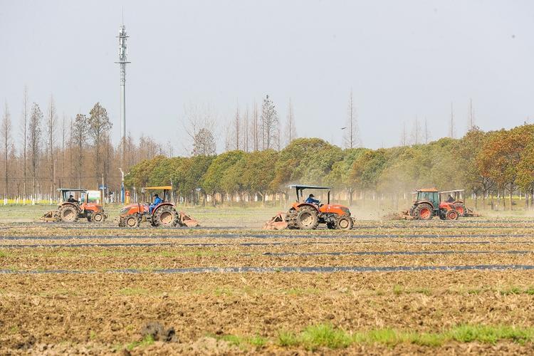 上海松江区：三月田头备耕忙 农机翻耕闹得欢