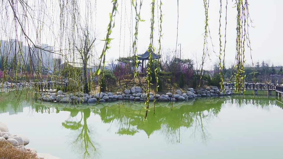 陕西澄城：万物复苏春到来 花红柳绿竞芳菲