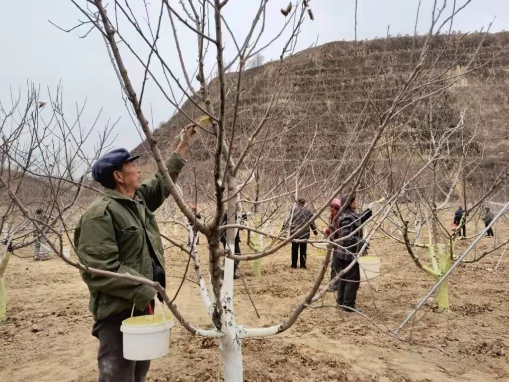 山西兴县：“三提三转”见行动 助力春耕正当时