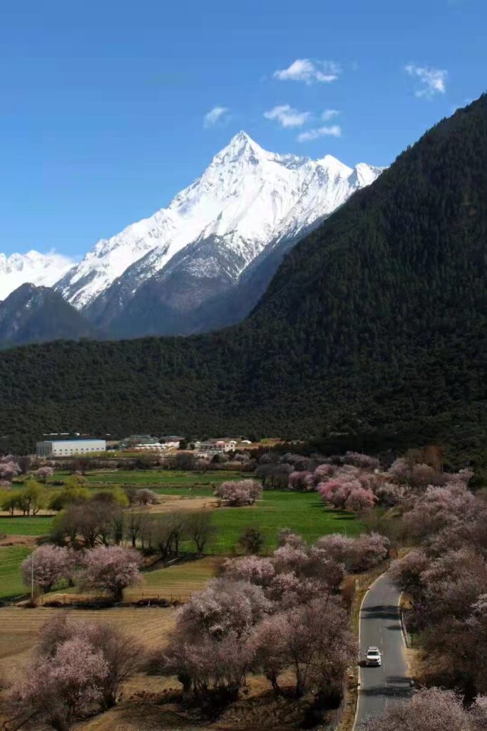 坠机现场发现写有“岁岁平安”纸条