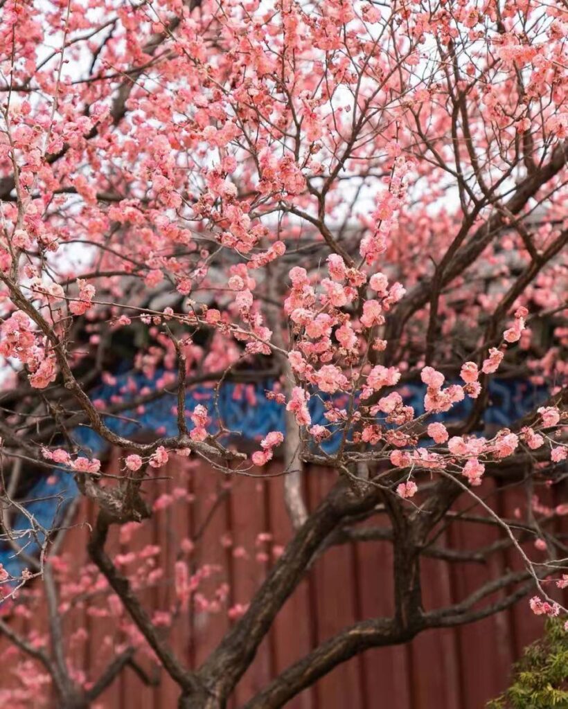 坠机现场发现写有“岁岁平安”纸条