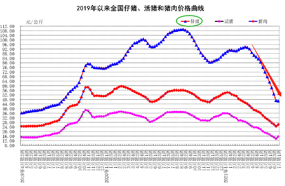 生猪价格连降6周 养一头猪亏四五百