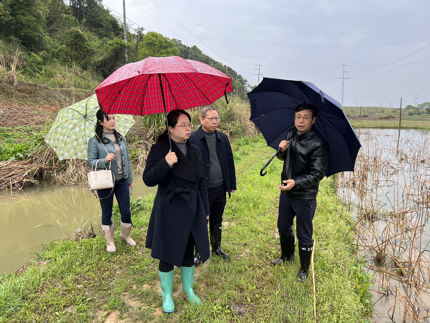 项昀实地调研水域连通项目情况