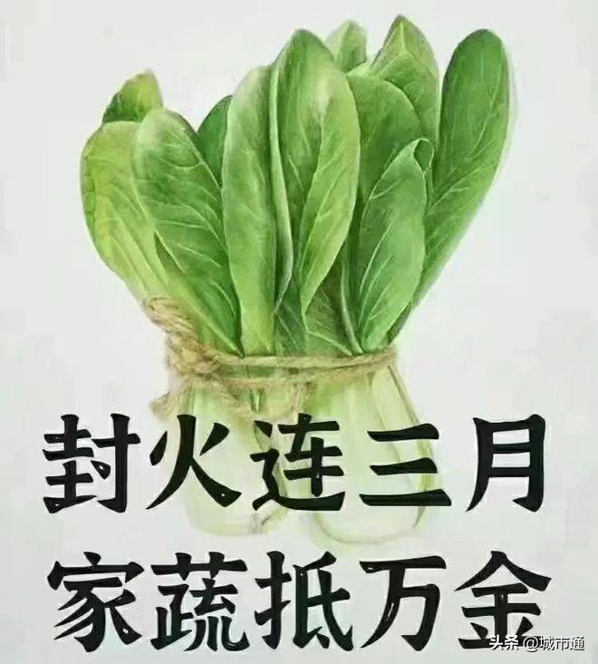 上海大叔打麻将拿蔬菜当筹码