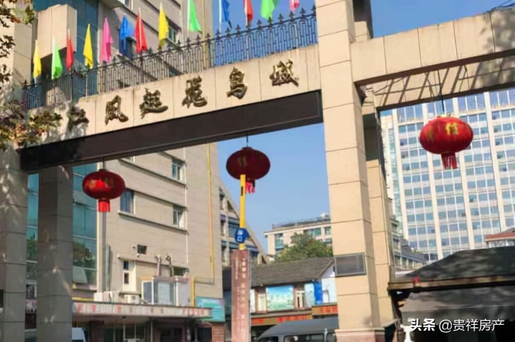 热带鱼批发市场在哪_全国十大花鸟鱼虫市场