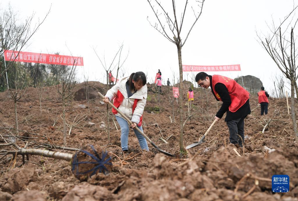 为子孙后代留下美丽家园——习近平总书记关心推动国土绿化纪实