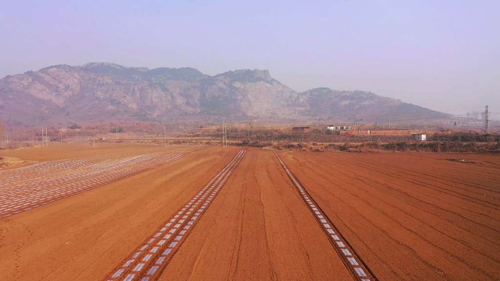 河北秦皇岛：春耕土豆播种忙