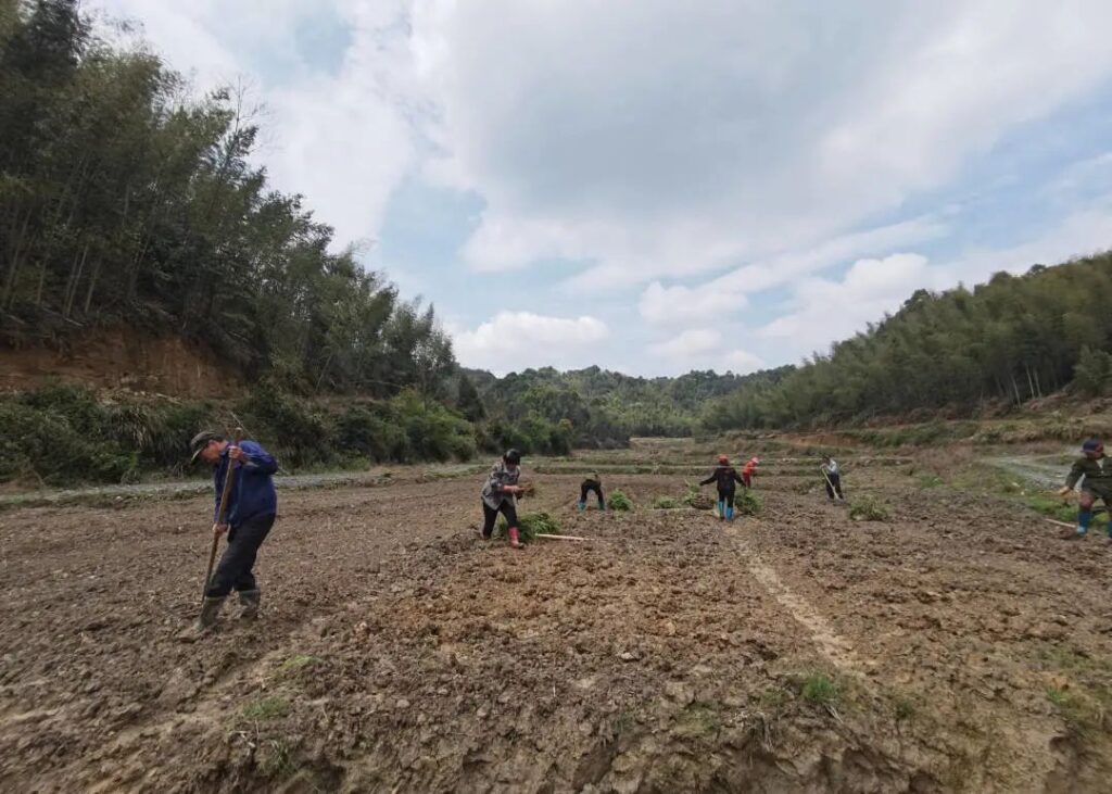 【五型政府】“父母”再就业，牧草基地种植忙