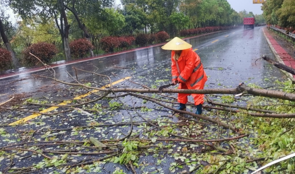 分宜公路分中心及时清理倒伏路树保畅通