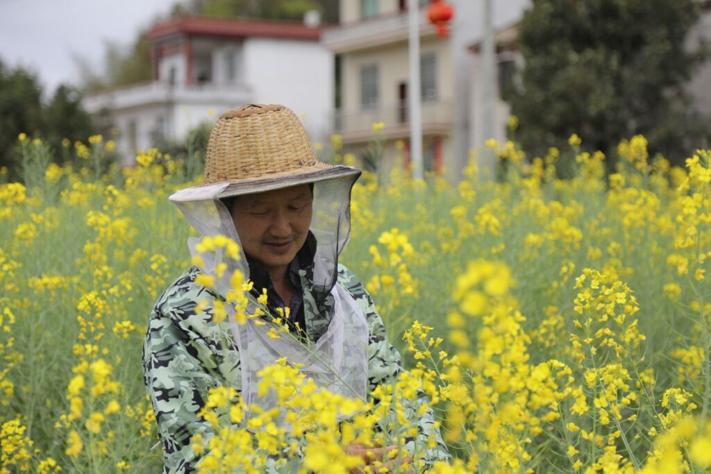 江西莲花：流动养蜂人陶维举四十年的甜蜜坚守