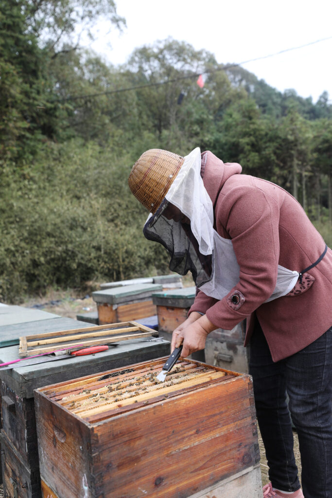 江西莲花：流动养蜂人陶维举四十年的甜蜜坚守