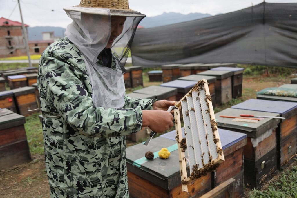 江西莲花：流动养蜂人陶维举四十年的甜蜜坚守