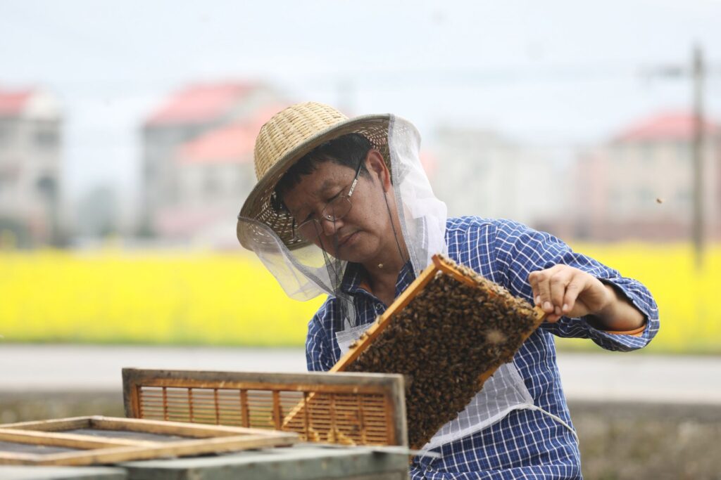 江西莲花：流动养蜂人陶维举四十年的甜蜜坚守