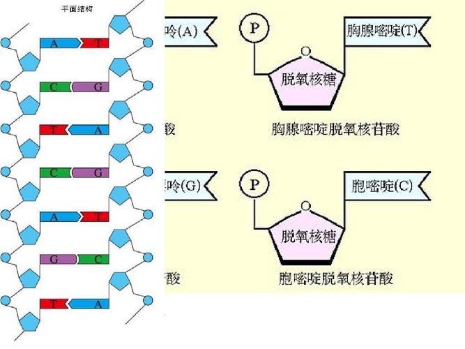 东航MU5735飞行事故​祭