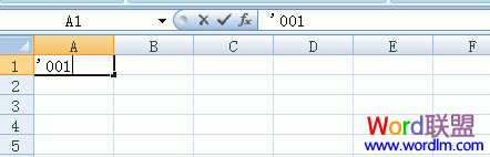 怎么在excel中输入001(怎么在Excel中输入0001)