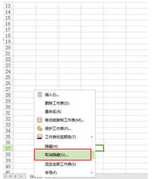 wps表格不显示工作表标签(wps工作表栏不见了)