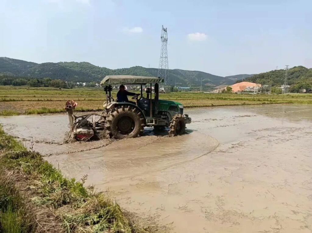 育秧完成！凤阳镇掀翻耕新热潮