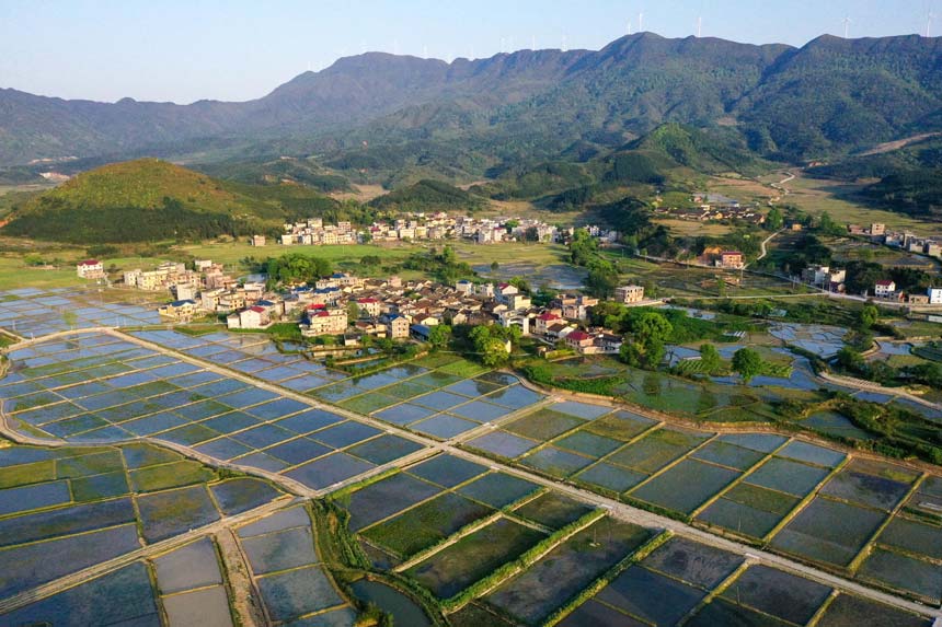 江西乐安：春耕时节 稻田村庄勾勒田园画卷