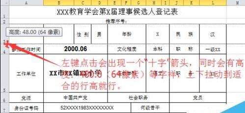 excel表格的行高和列宽在哪里设置