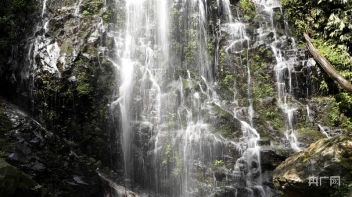 壮美！大岗山现瀑布飞泉