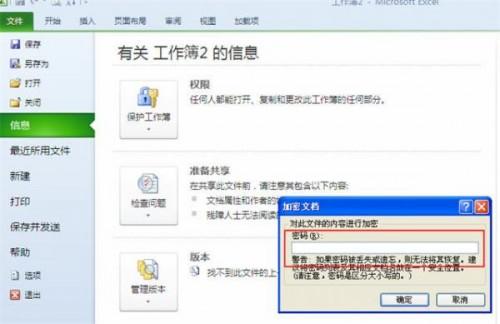 excel2010文件加密方法(如何加密excel文档)